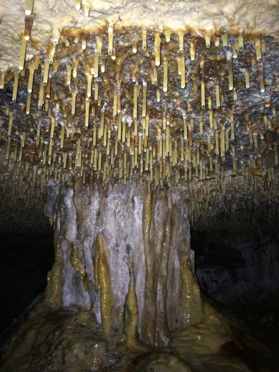 Australien -  - Mit der iphone Funzel bis zum Ende der Grotte