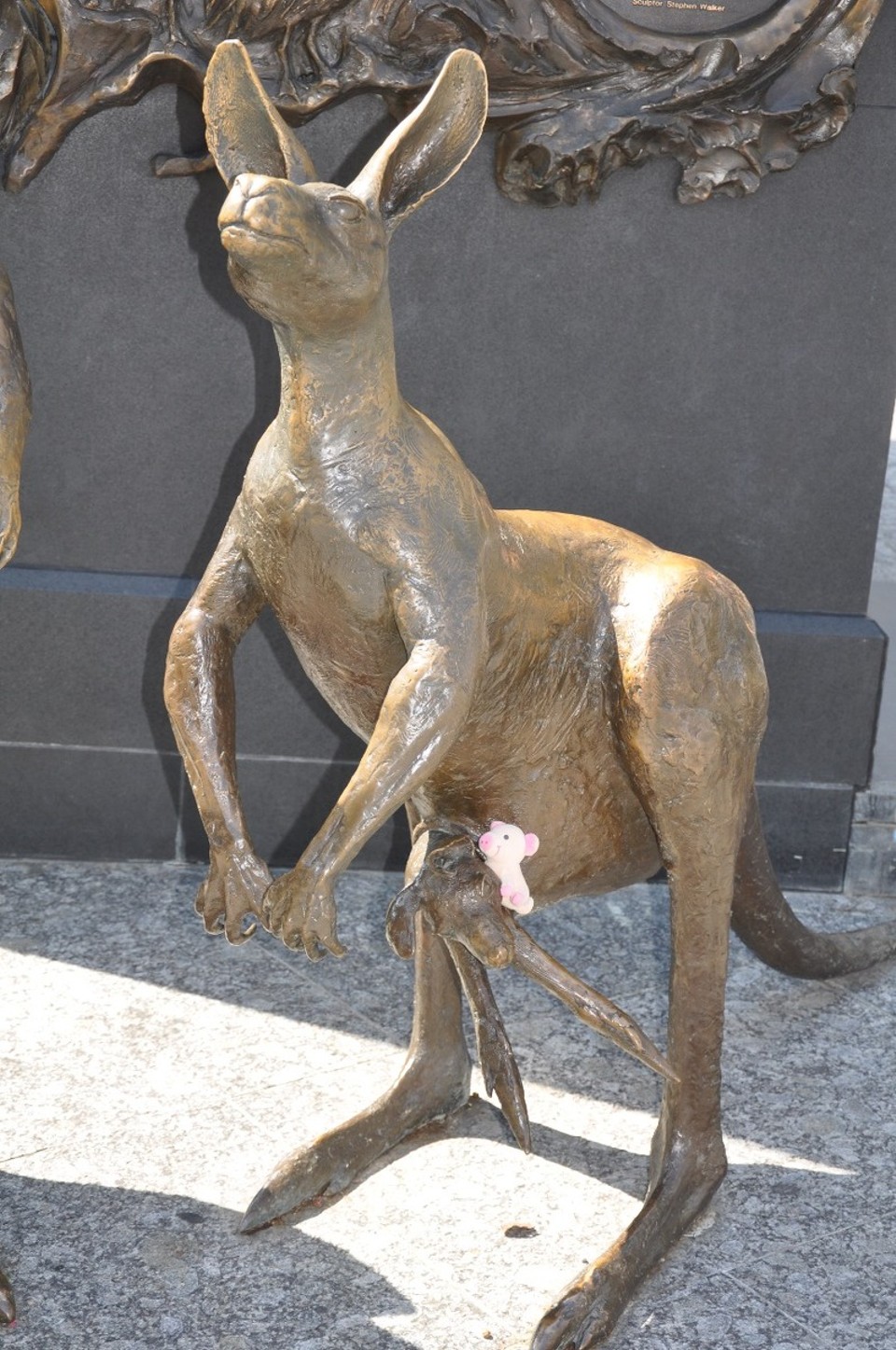 Australien - Teneriffe - Skippy, etwas steif