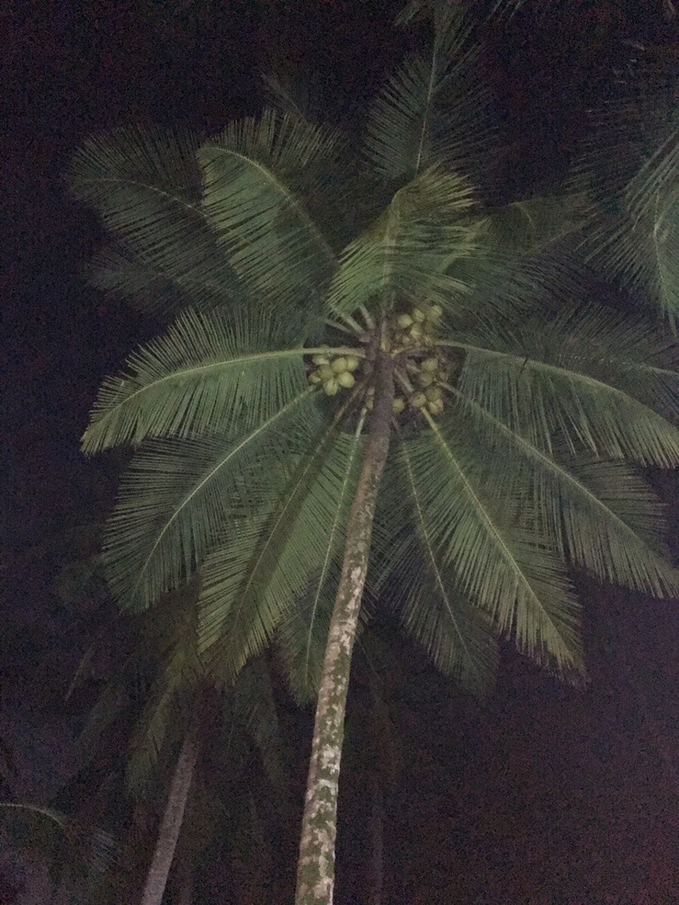  - San Blas, Panamà - 