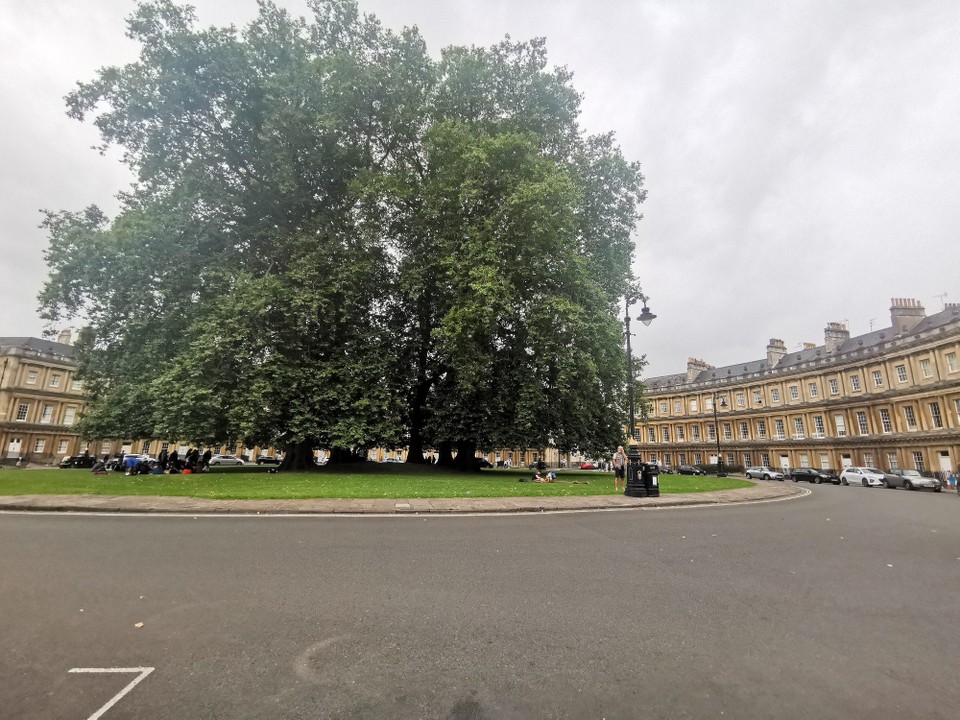 United Kingdom - Bath - Sie waren riiiiesig! 