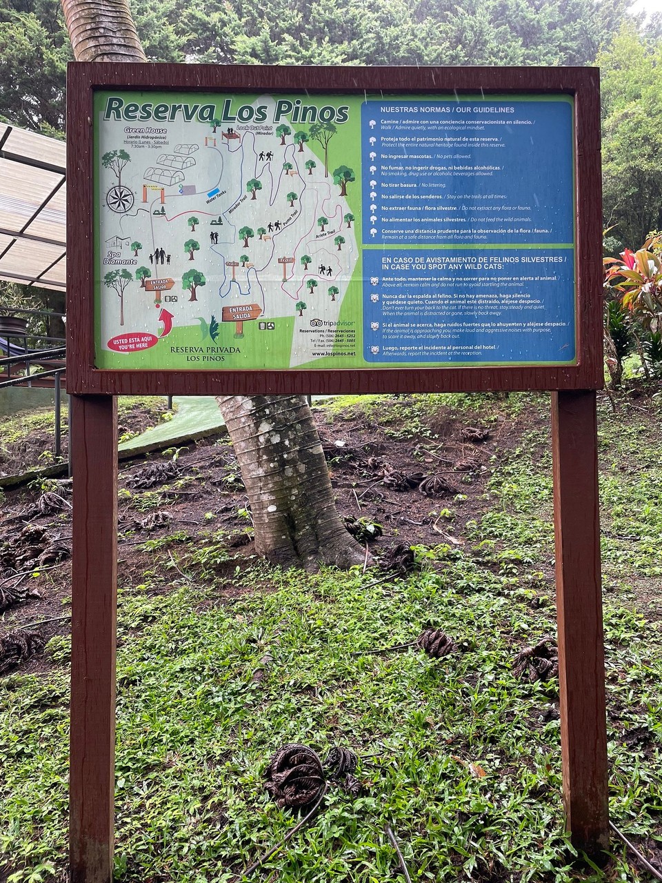 Costa Rica -  - … aber auch die hoteleigene Gartenanlage 🌳 erkundet …