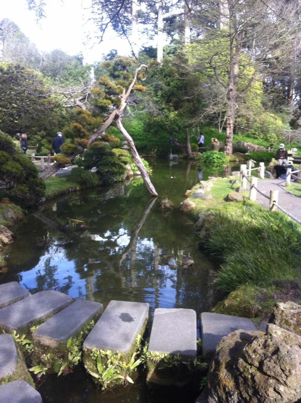 Egyesült Államok - San Francisco - 