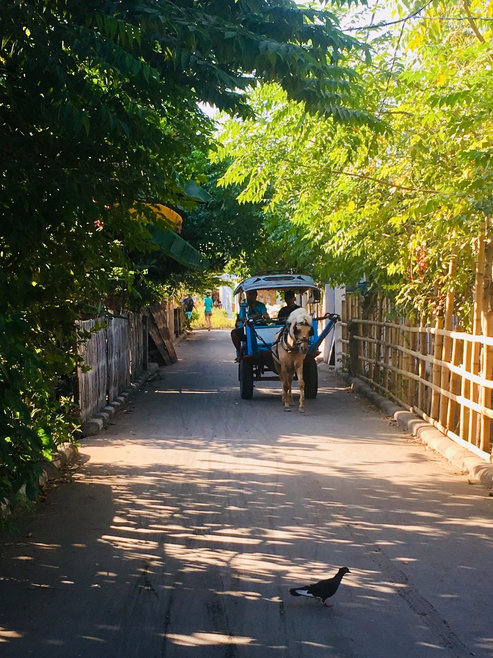 Indonesia - Gili Air - En av hovedgatene på Gili Air