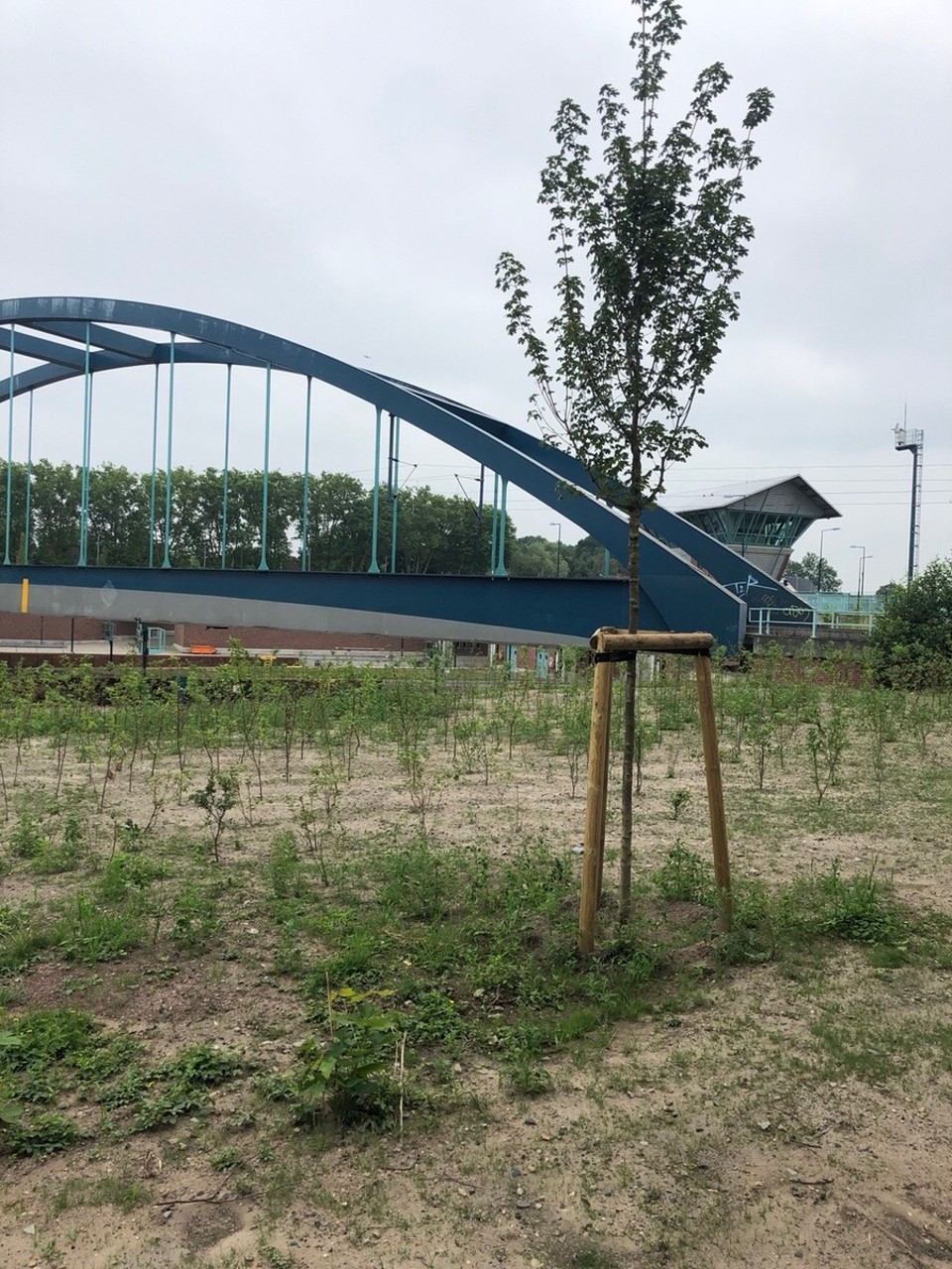 Deutschland - Ladbergen - 