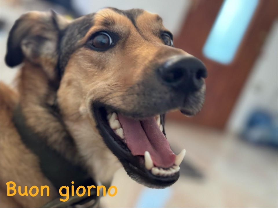 Italien - Porto Azzurro - 