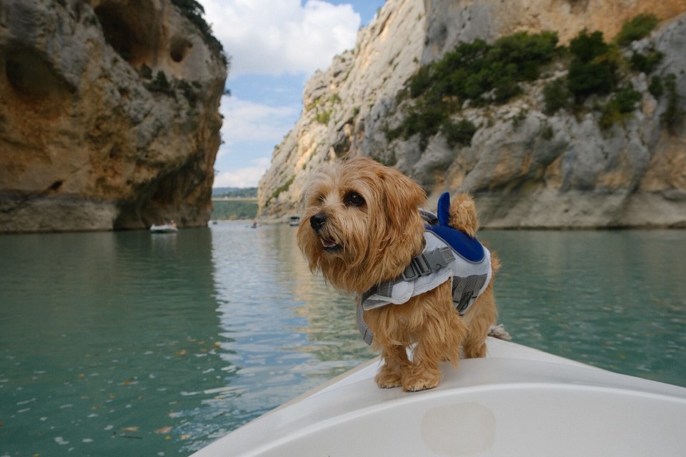 Frankreich - Aiguines - 