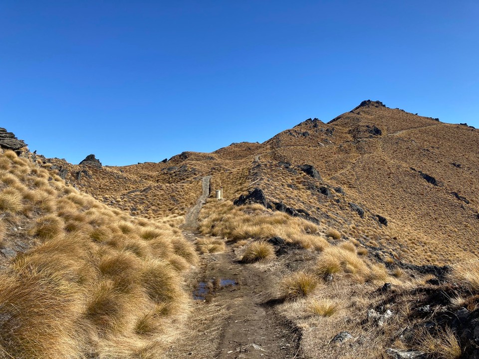 Neuseeland - Wanaka - Hinauf, hinauf, immer weiter hoch hinaus 🤓