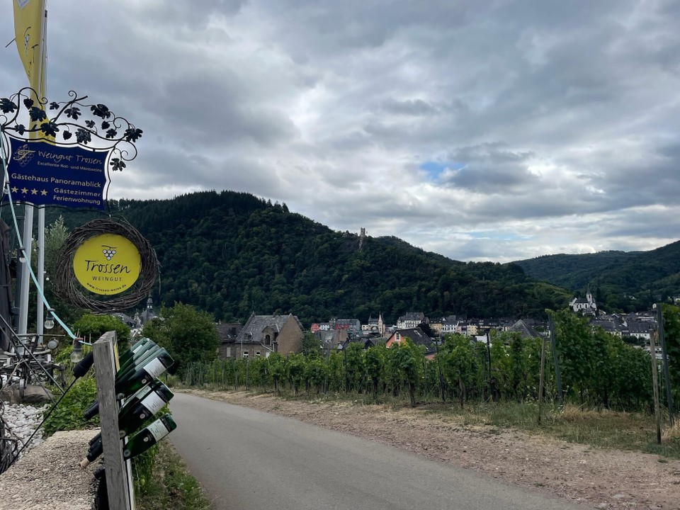 Deutschland - Traben-Trarbach - Für die Eltern gab es später eine Belohnung beim Weingut.