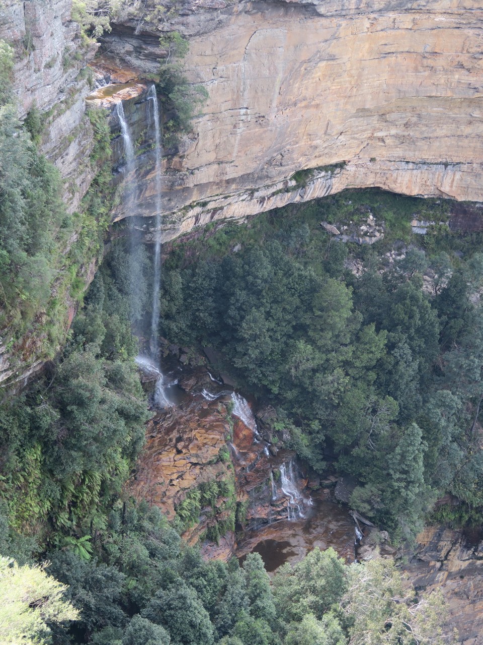 Australia - Blue Mountains National Park - 