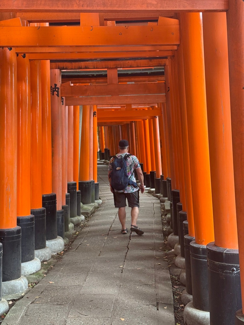 Japan - Kyoto - Auf durch die 1000 Torii 