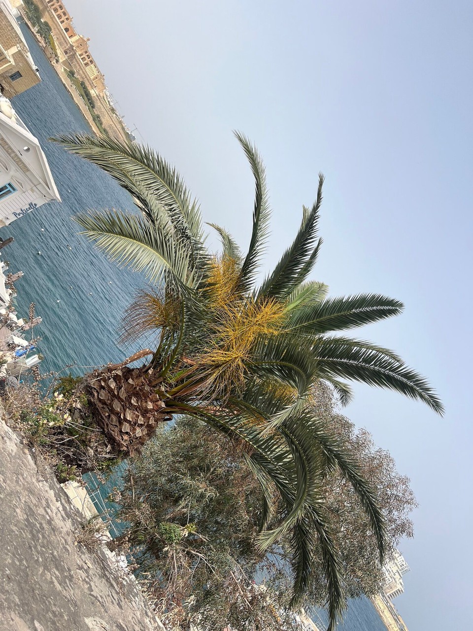 Malta - Valletta - 