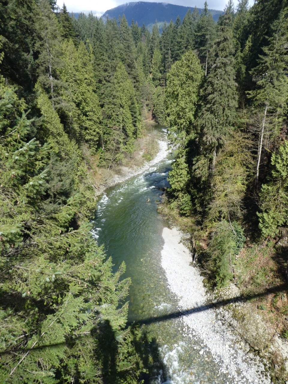 Canada - Vancouver - Photogenie's shadow from the bridge