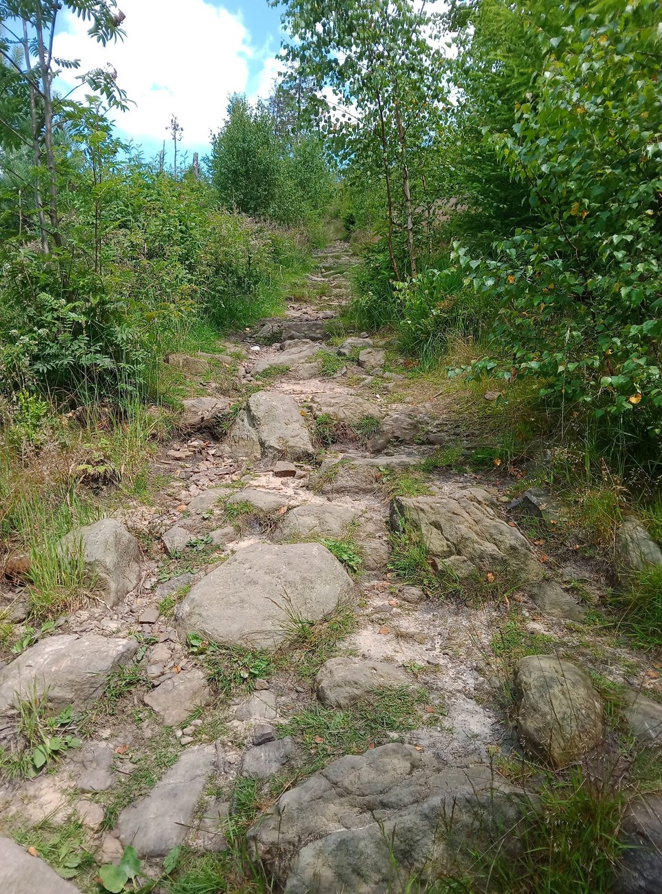 Deutschland - Horn-Bad Meinberg - ...es wird nicht besser. Aber weit kann es nicht mehr sein.