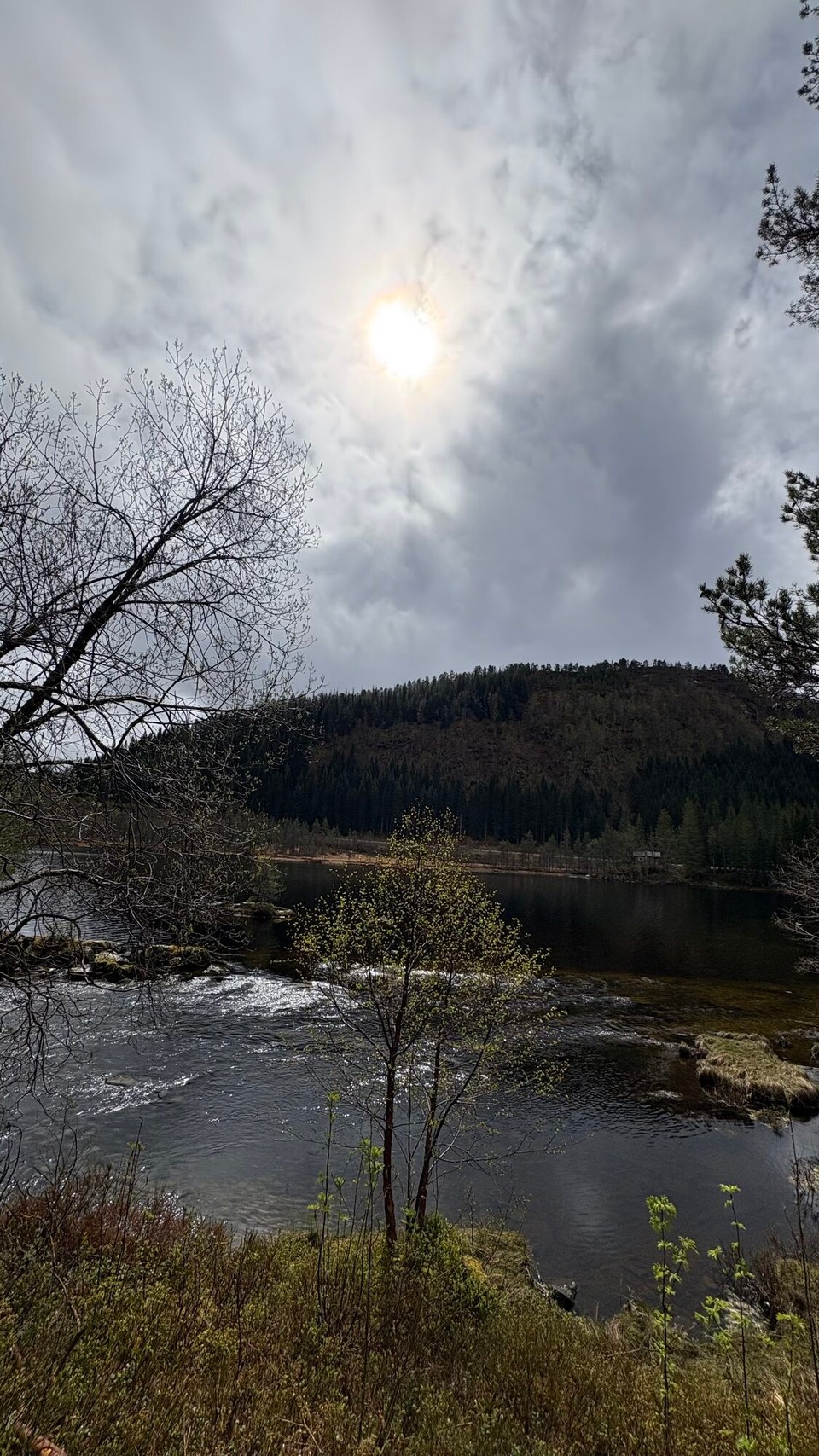 Norwegen - Førde - …zwischendurch Sonne…
