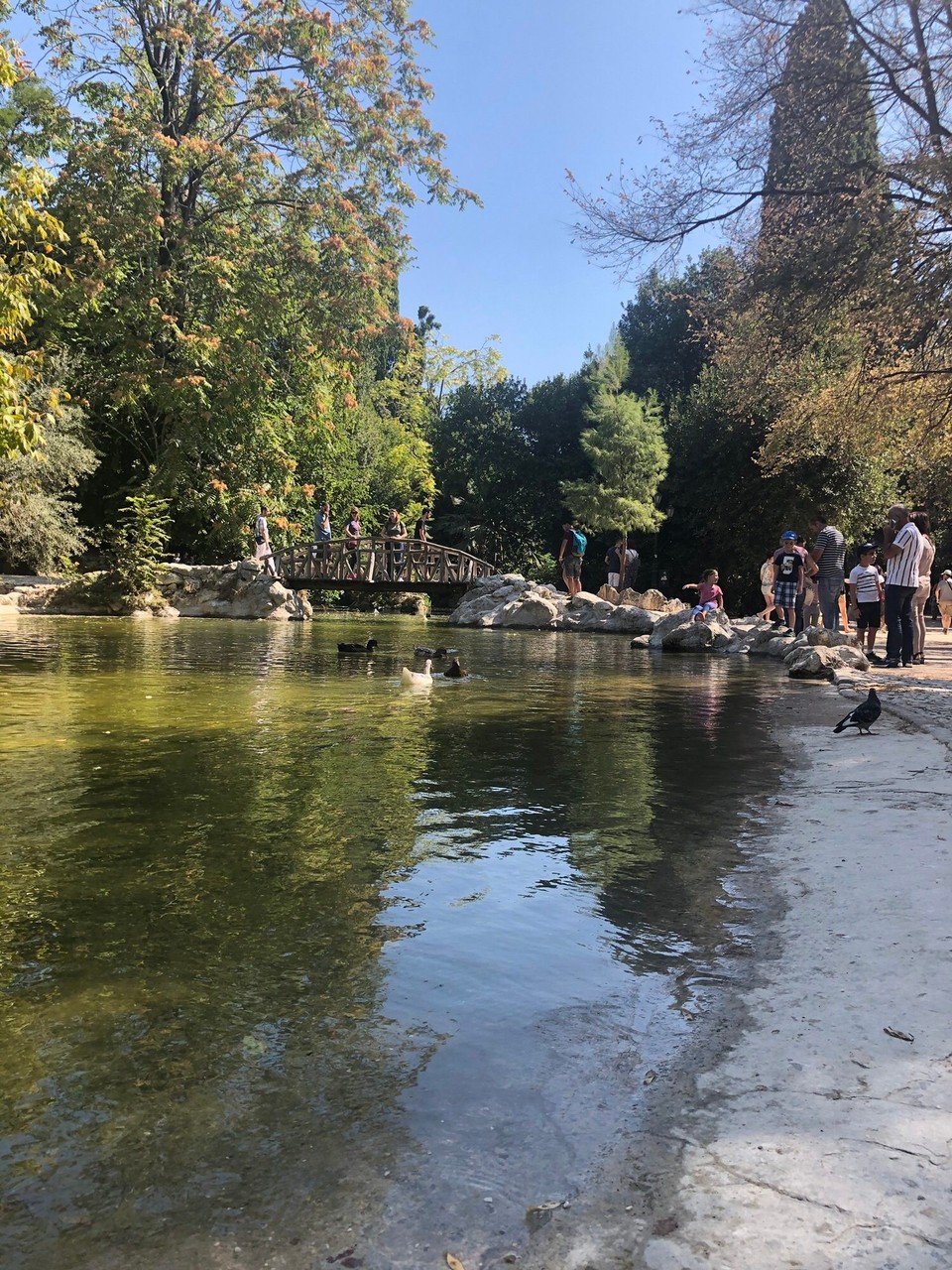 Griechenland - Athen - Nationalgarten