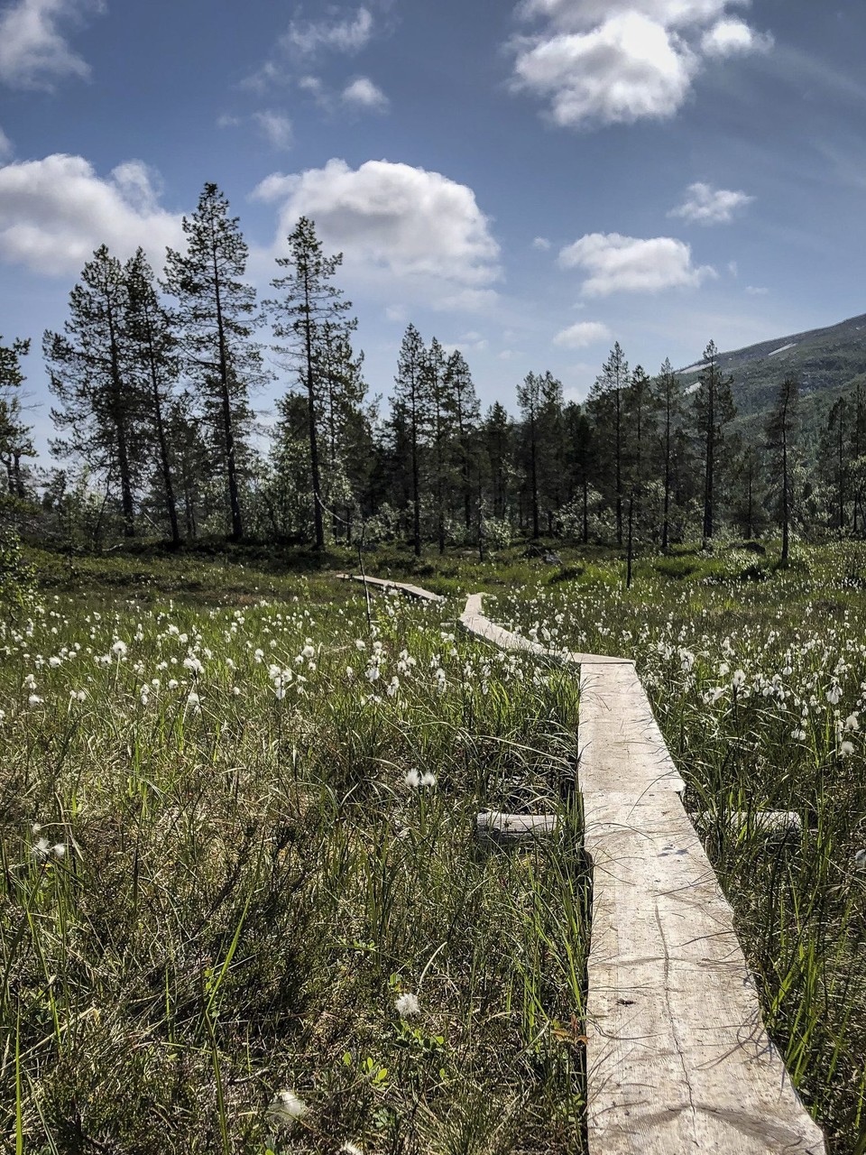 Norwegen - unbekannt - 