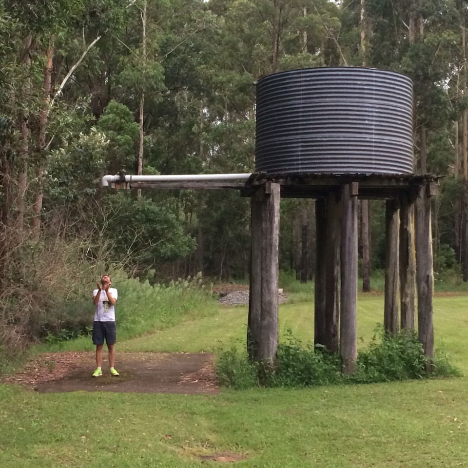 Australien - Coopernook State Forest - 