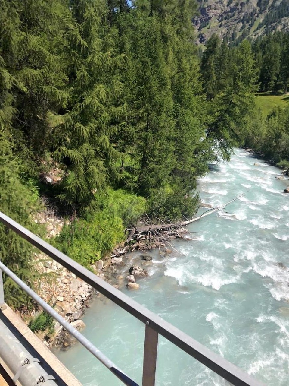 Schweiz - Pontresina - 