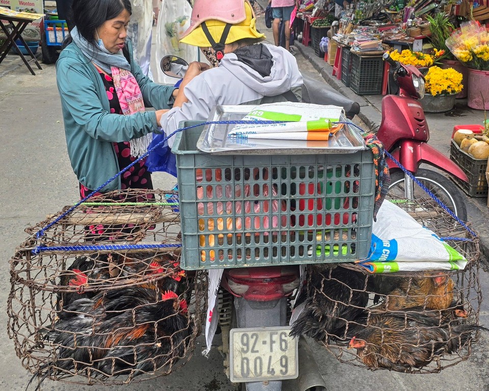 Vietnam - Hoi An - 