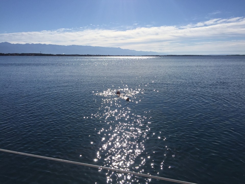 Kroatien - Šimuni - Mein morgentliches Bad