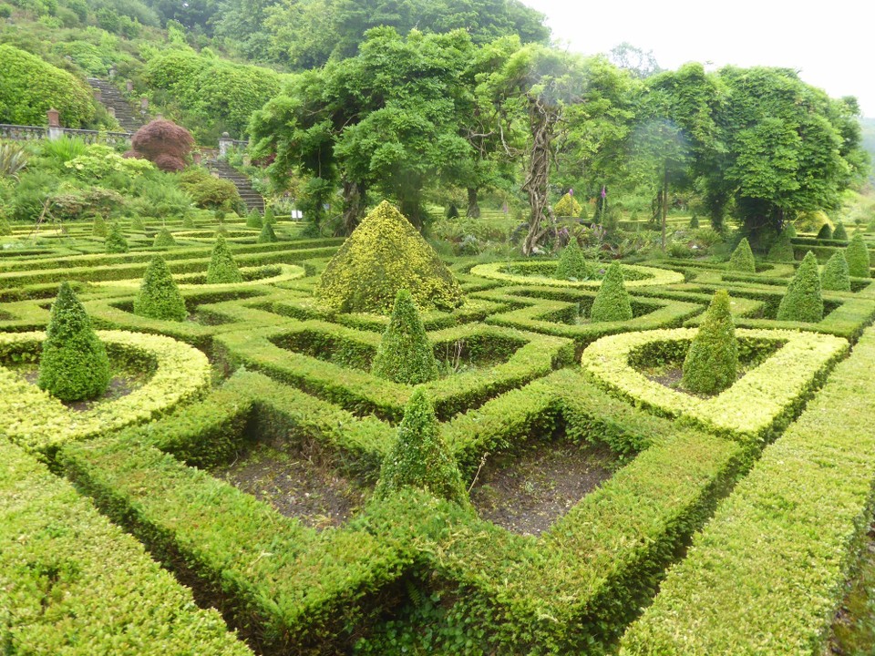 Ireland - Bantry - Rain brought our the vibrancy of the green.