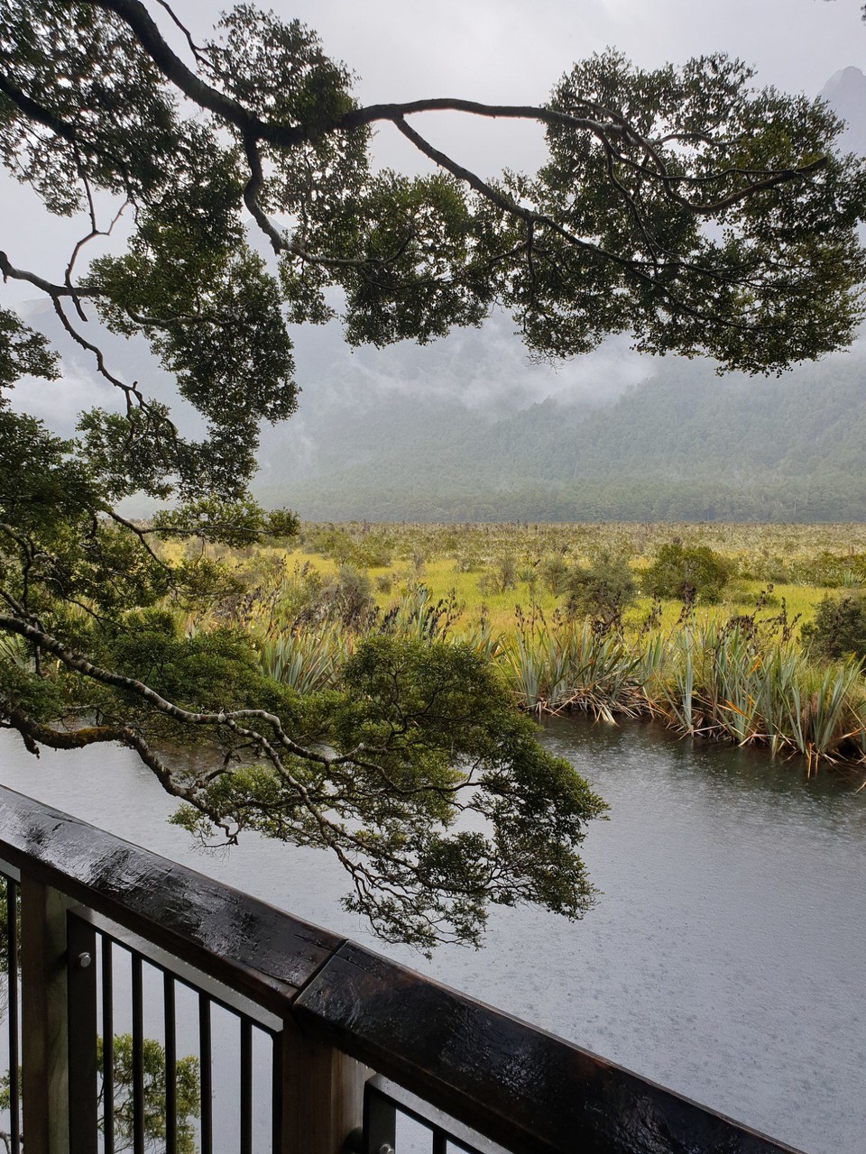 Neuseeland - Te Anau - 