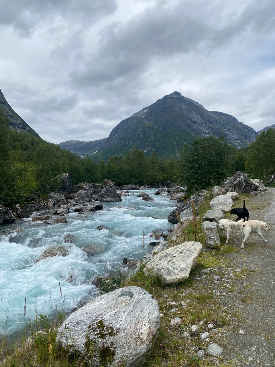 Norwegen - Valldal - Direkt an einem Fluss. Super schön für eine kurze Wanderung und draußen sitzen ganz allein. 