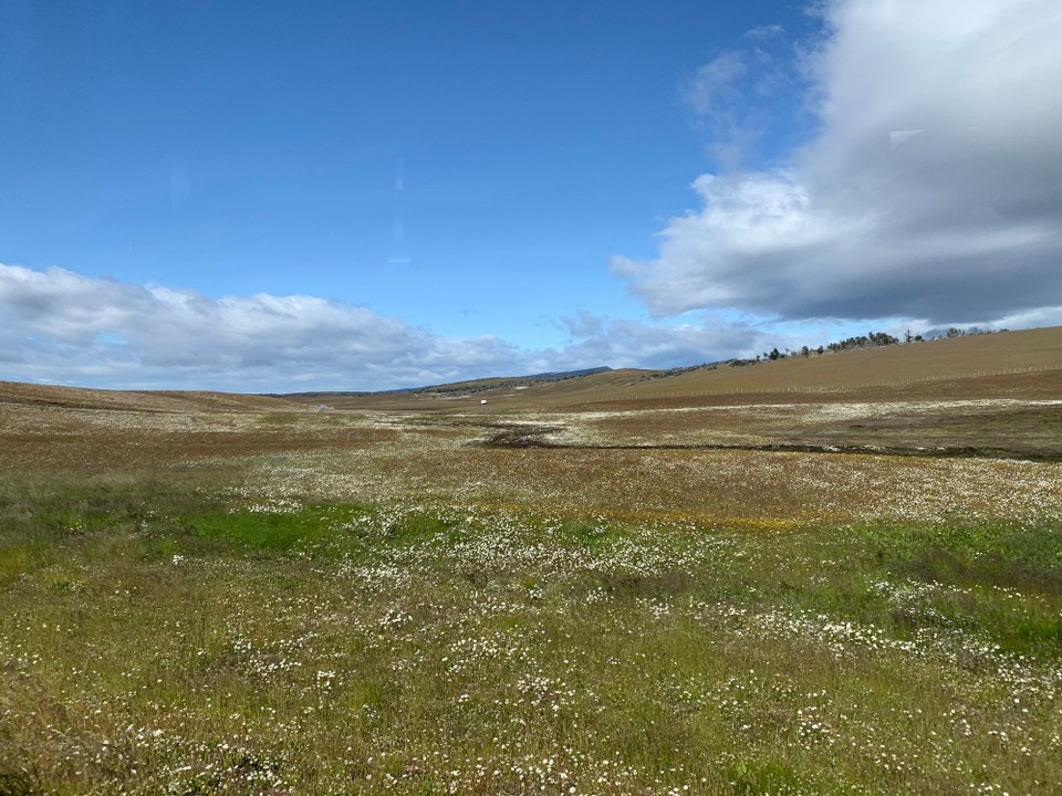 Argentinien - El Calafate - 