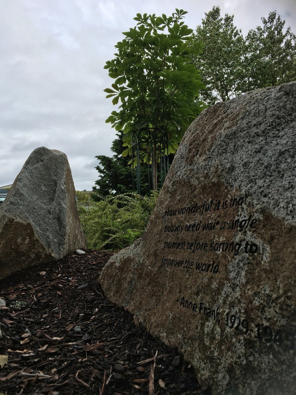 USA - Seattle - „Es ist wunderbar, dass niemand auch nur einen einzigen Moment warten muss, um mit der Verbesserung der Welt zu beginnen.“ Anne Frank
dieser Kastanienbaum wurde von dem Kastanienbaum gezüchtet den Anne Frank von ihrem Haus sehen konnte um aller Opfer des zweiten Weltkrieges zu Gedenken 