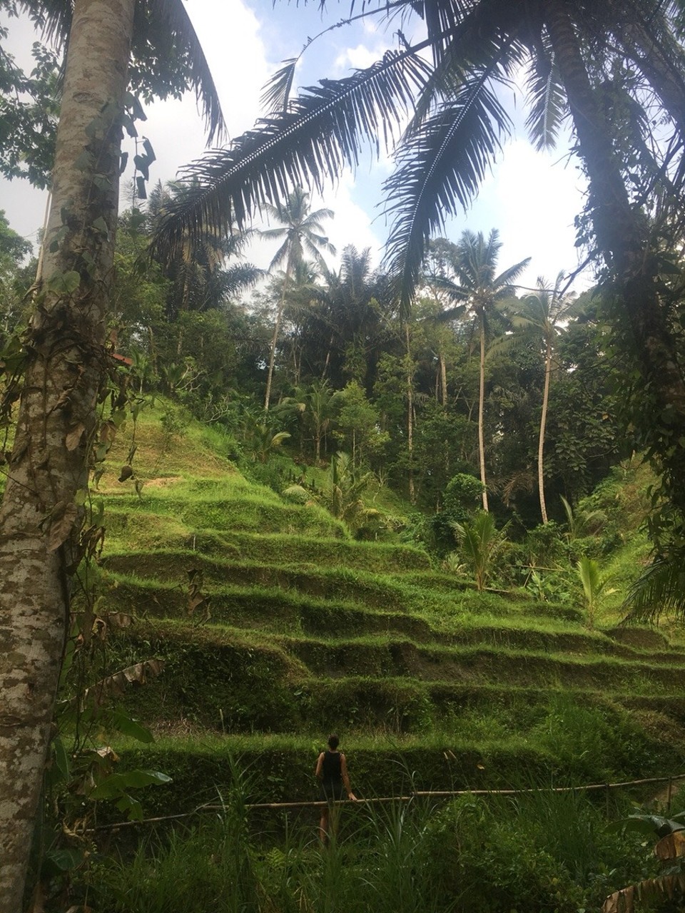 Indonesien - Gianyar - 