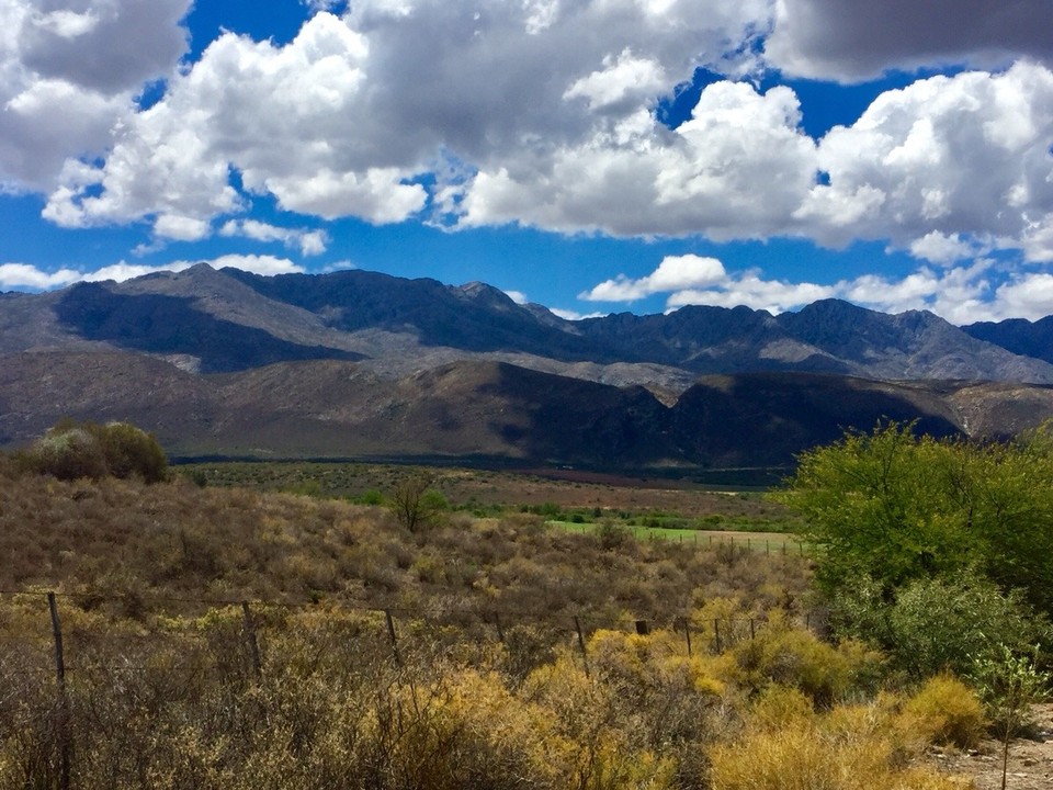 Südafrika - Oudtshoorn - R 62