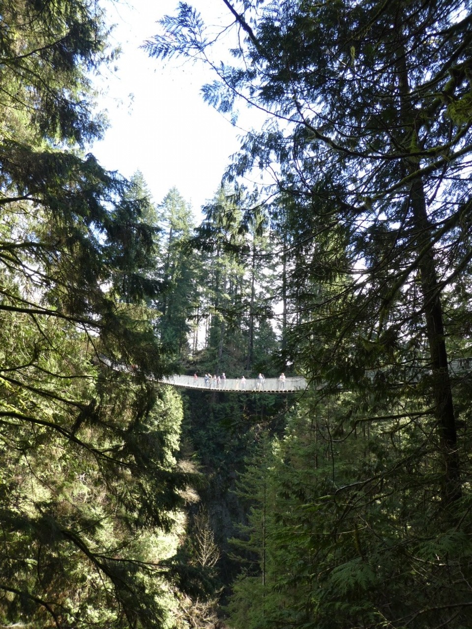 Canada - Vancouver - From below
