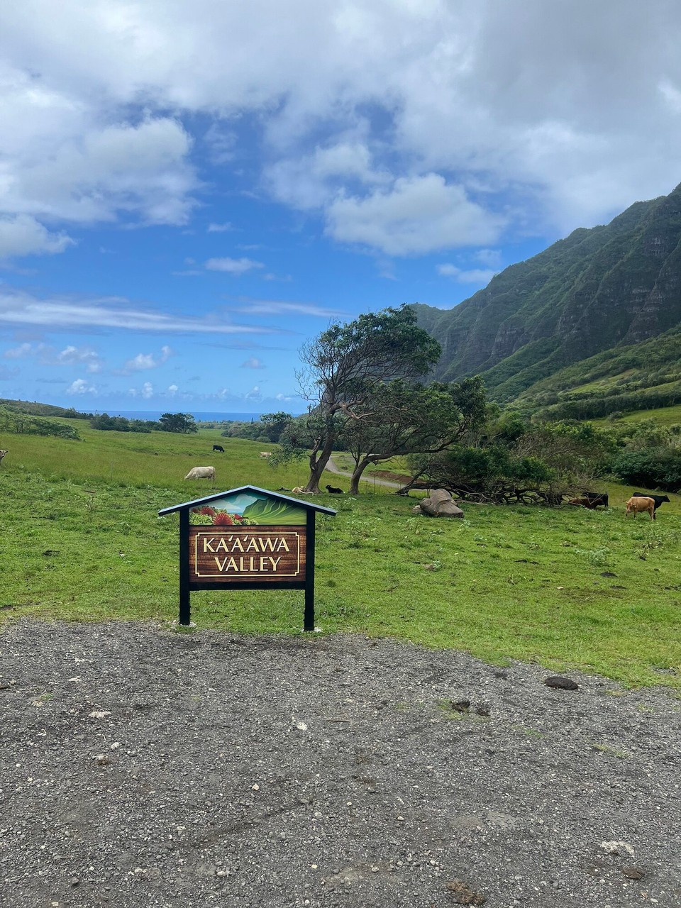 Vereinigte Staaten - Honolulu - 