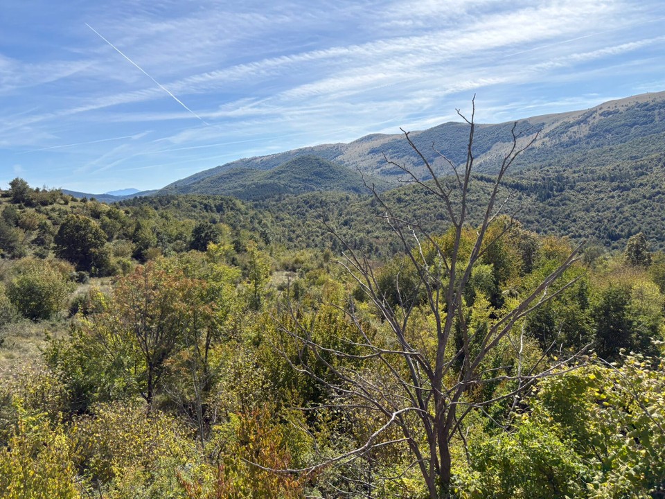 Kroatien - Tribanj - 