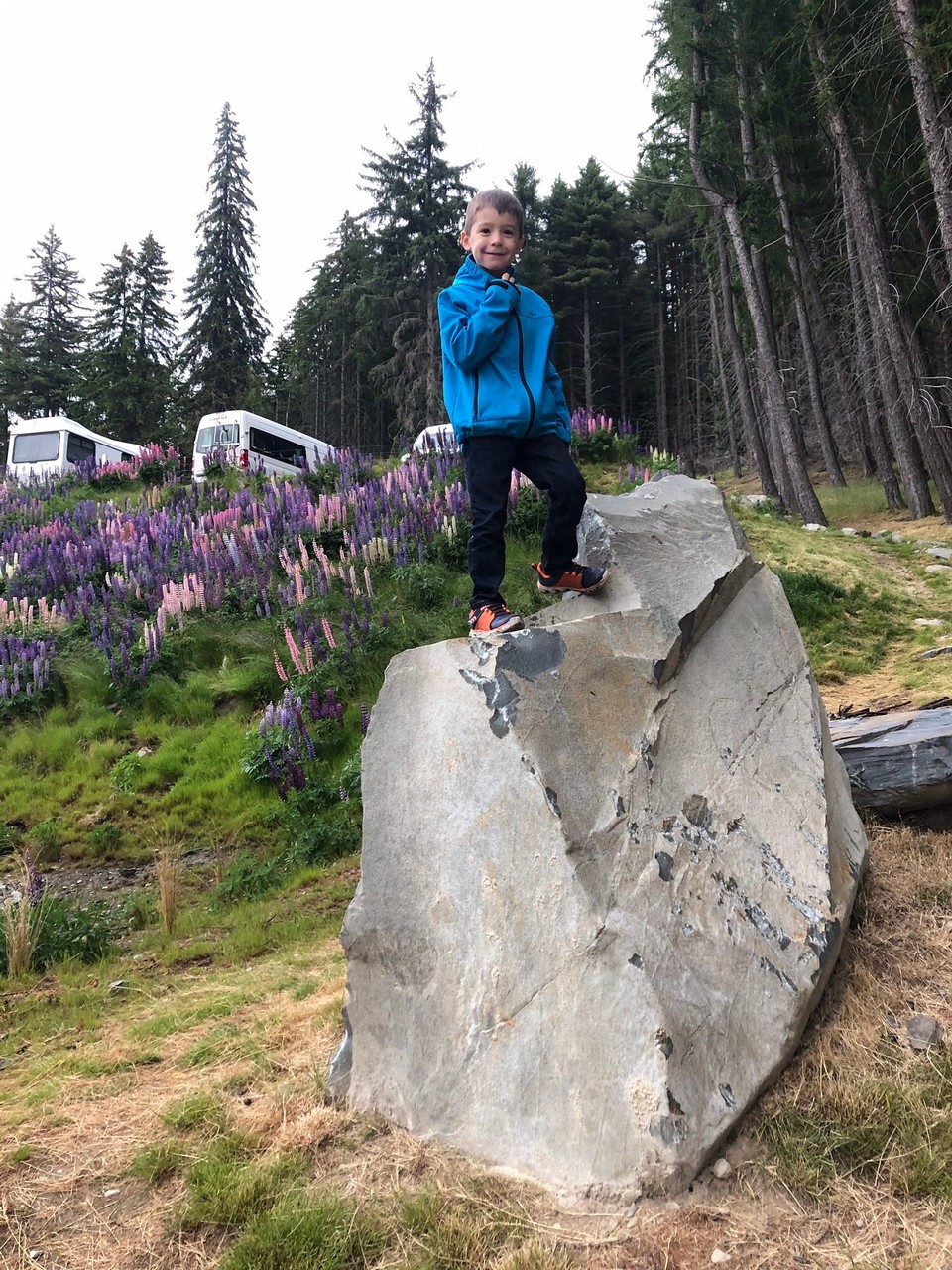 Neuseeland - Lake Tekapo - 