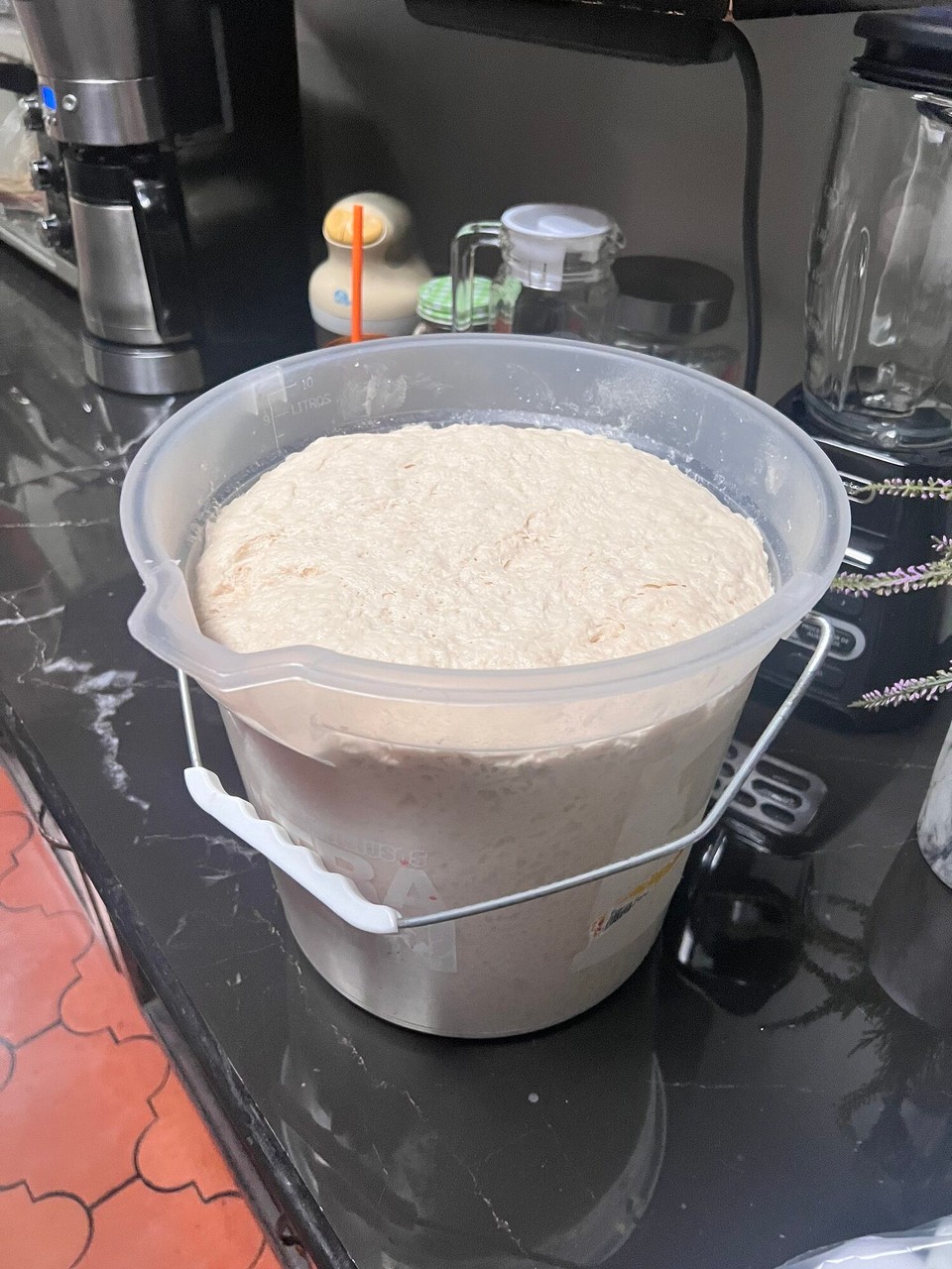 Costa Rica - Puntarenas - Am Mittwoch hani 2,5kg mehl brucht für de Zopfteig für‘s Gschäft. Am Fritig isch da nämlich de Tag vo de Kulture und ich döff d‘Schwiiz vorstelle. 