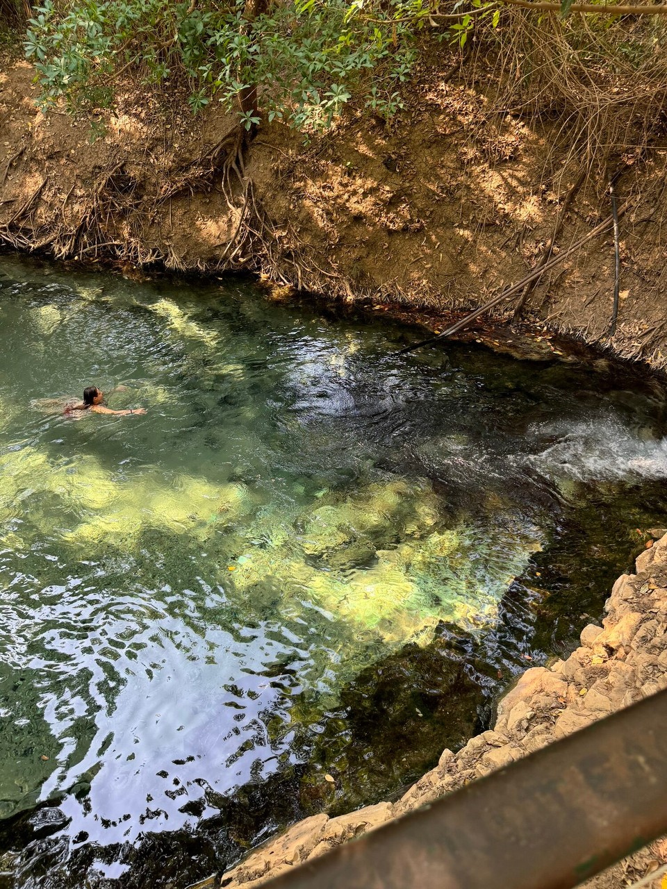 Australien - Katherine South - Hot Springs in Katherine
