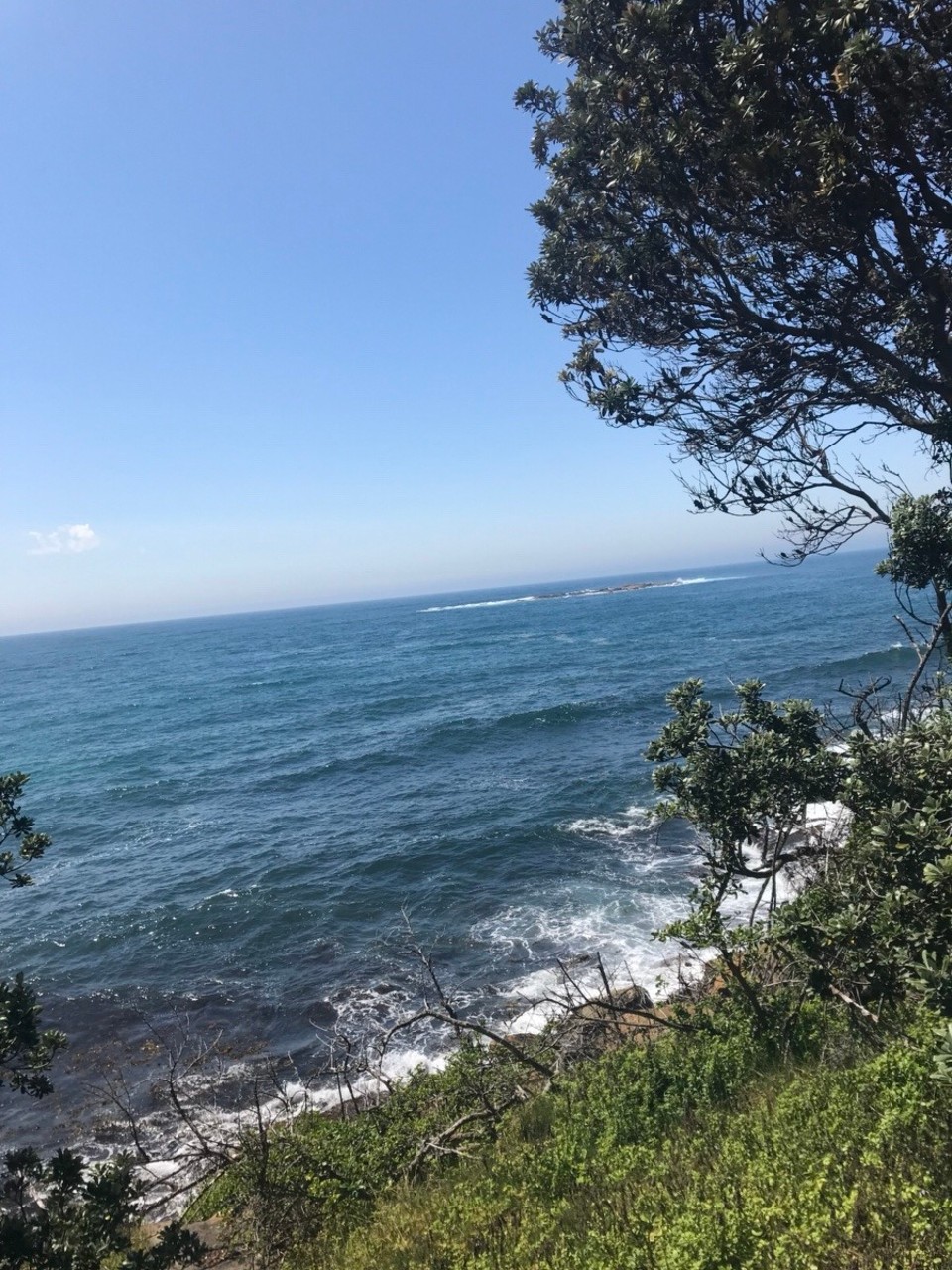 Australien - Coogee - 