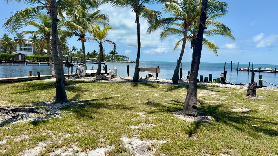 Vereinigte Staaten - Marathon - 