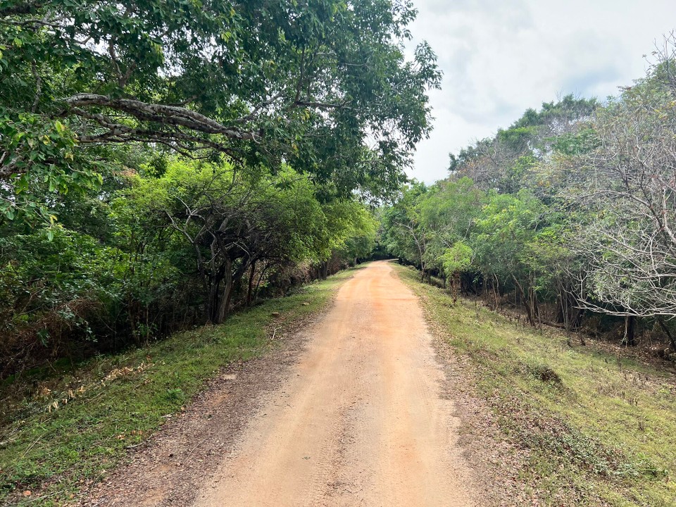 Sri Lanka -  - 