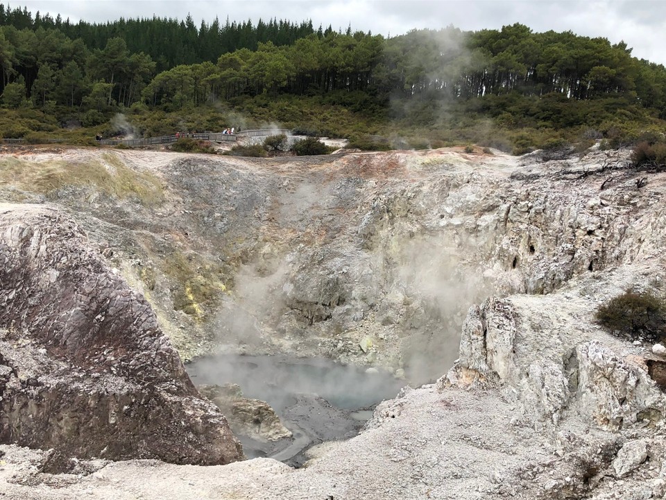 Neuseeland - Awakeri - In den Löchern um den Krater nisten Vögel wie z. B. Schwalben. Die Wärme hilft beim Ausbrüten der Eier. 