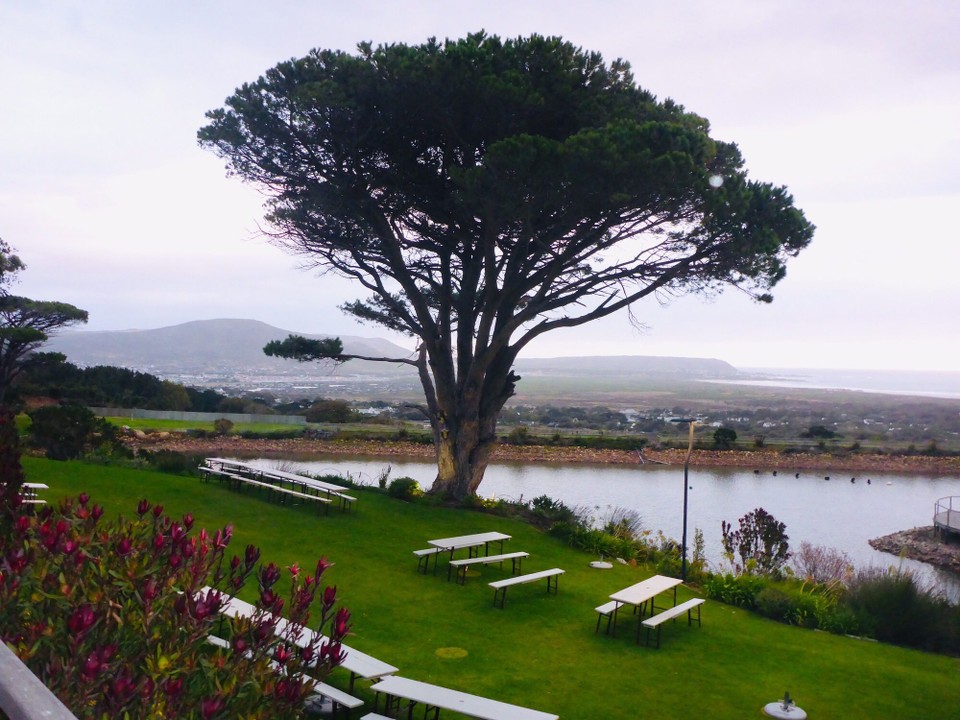 Südafrika - Southern Suburbs - 