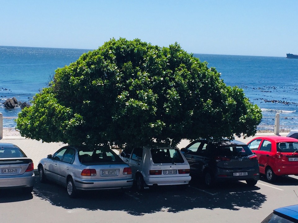 Südafrika - Kapstadt - 