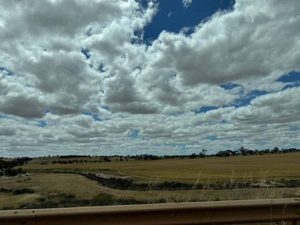 Australien - Kalgoorlie - Riesigi Flächena Kulturland. Wenn eina am Drescha isch, gsehtmes scho vo Kilometer wit weg wegm stüba.