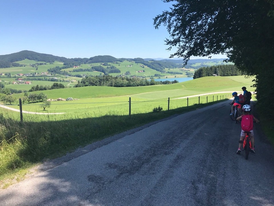 Österreich - Neumarkt am Wallersee - 