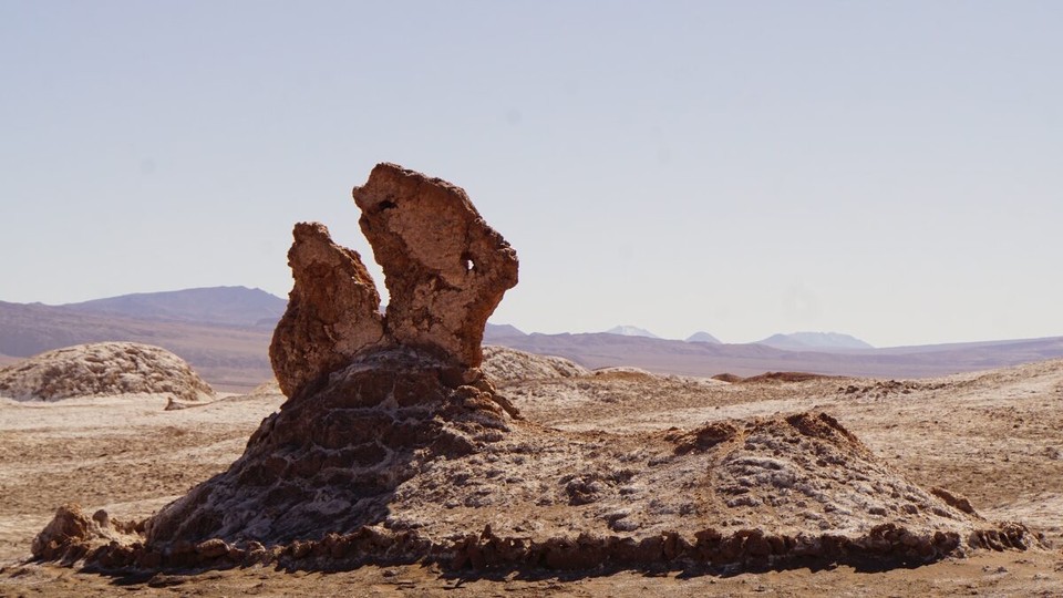 Chile - Santiago de Chile - Hallo Dino