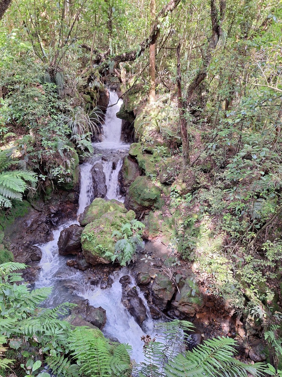 Neuseeland - Turangi - Ketetahi Wasserfällen