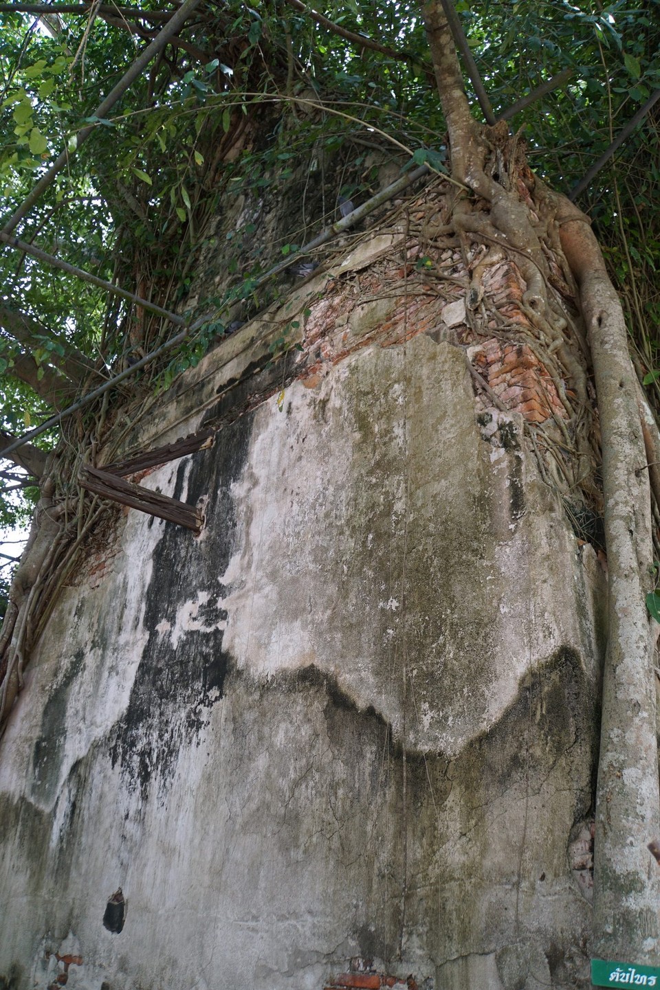 Thailand - Bangkok - 