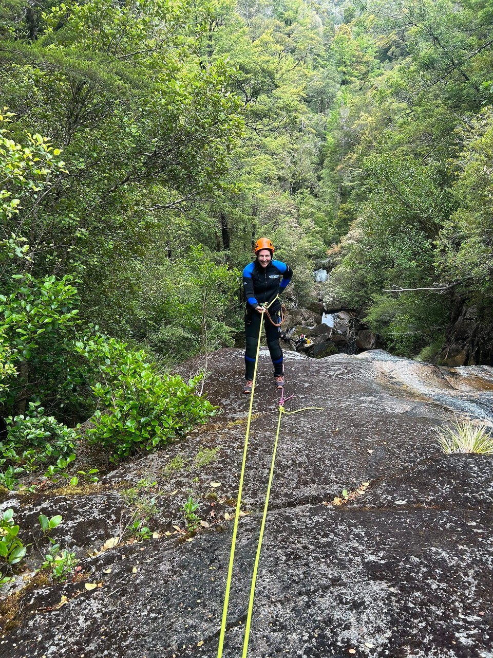 Neuseeland - Kahurangi National Park - 