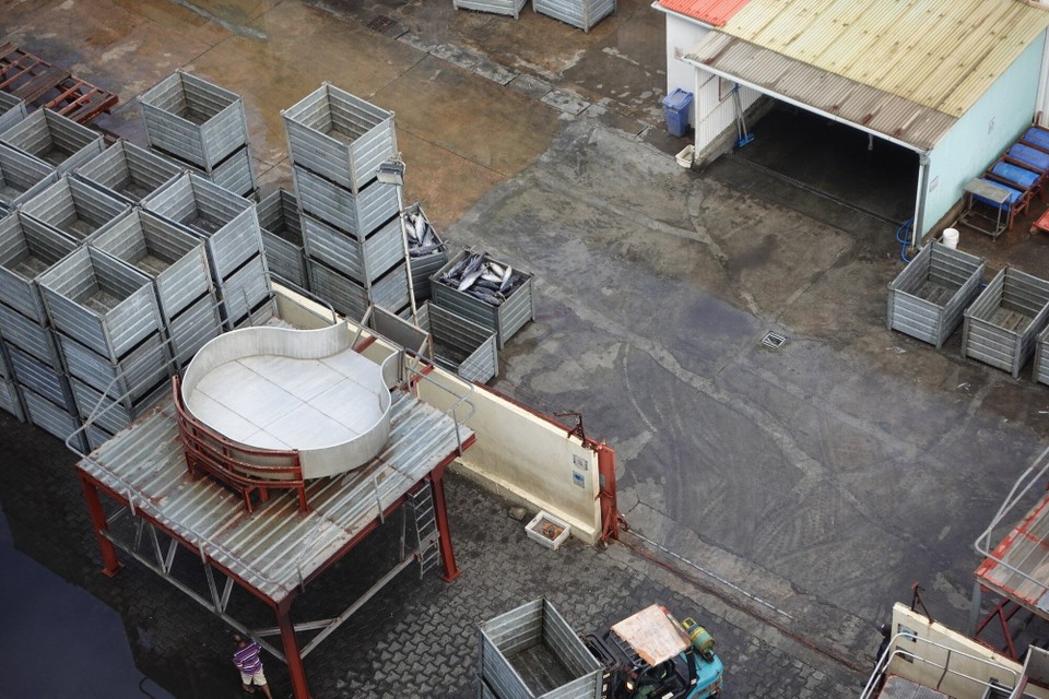 Madagaskar - Antsiranana - Um Hafen ass eng Feschfabrik
